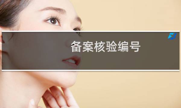 备案核验编号:什么问题-其他问题