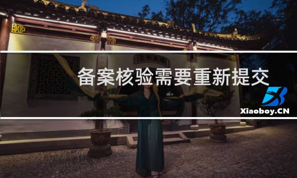 备案核验需要重新提交改下状态