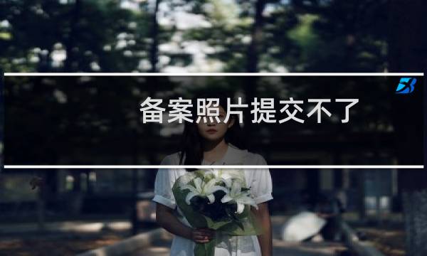 备案照片提交不了，请帮忙提交一下