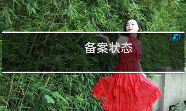 备案状态:报备--待接入商审核