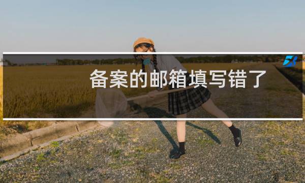 备案的邮箱填写错了,帮忙改下,再提交到管局