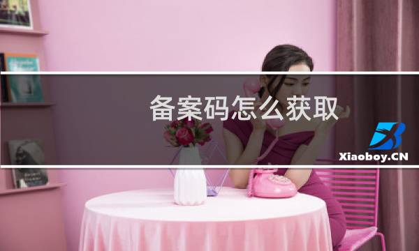 备案码怎么获取,找管家就是因为不懂所以i,还要备案码。