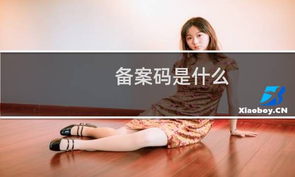 备案码是什么，找不到-备案平台