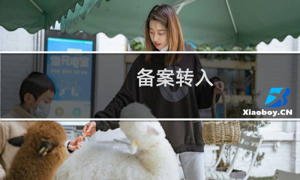 备案转入，无法找到 业务备案码