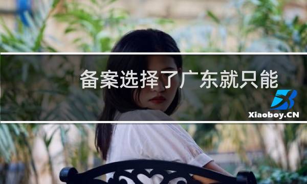备案选择了广东就只能查看广东的备案点吗?