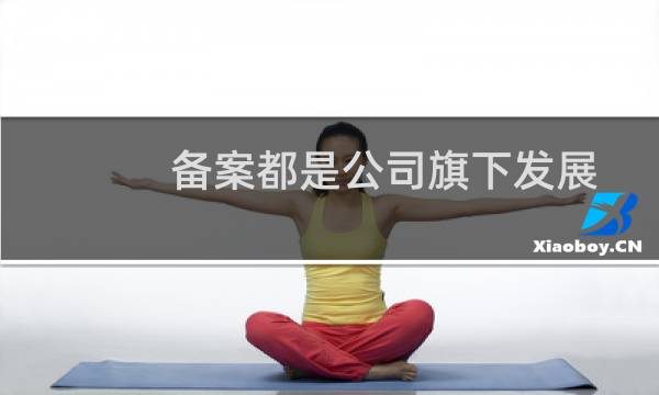 备案都是公司旗下发展业务，网络技术，信息平台