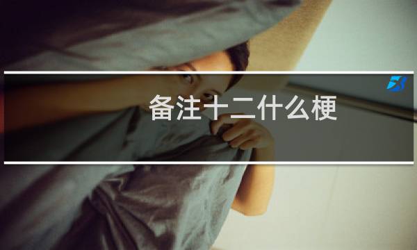 备注十二什么梗