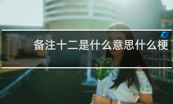 备注十二是什么意思什么梗
