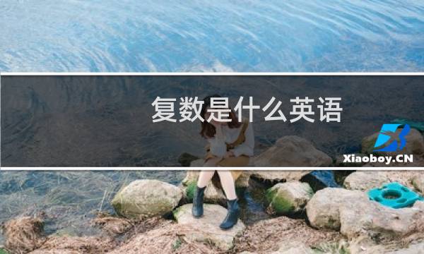 复数是什么英语