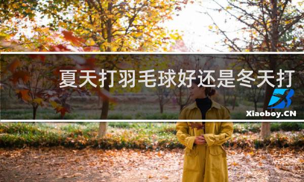 夏天打羽毛球好还是冬天打