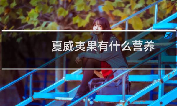 夏威夷果有什么营养