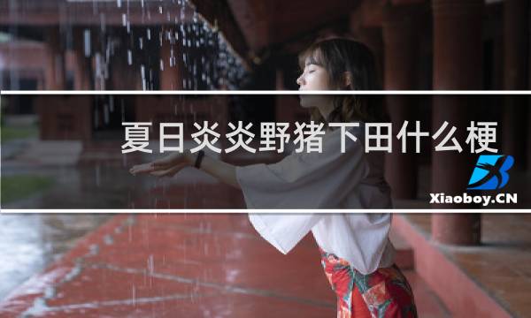 夏日炎炎野猪下田什么梗？夏日炎炎野猪下田是什么意思什么梗