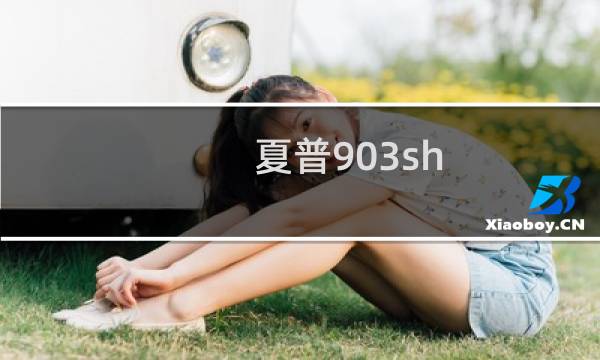 夏普903sh（夏普 903）图片