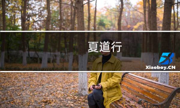 夏道行(经济非经济专业学生想了解和学习马派“政治经济学”注意不是...)