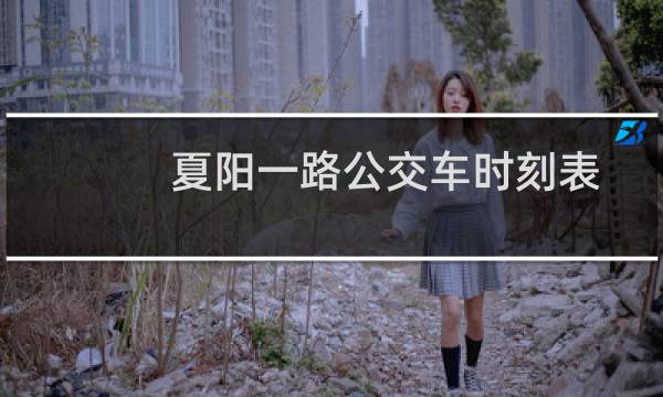 夏阳一路公交车时刻表（夏阳一路）图片