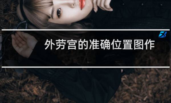 外劳宫的准确位置图作用功效(外劳宫的准确位置和作用)