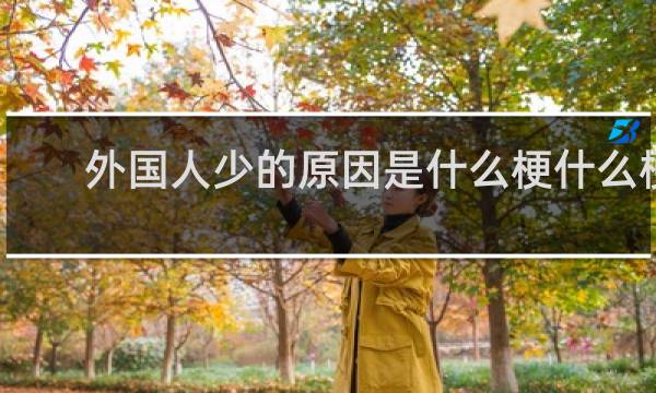 外国人少的原因是什么梗什么梗