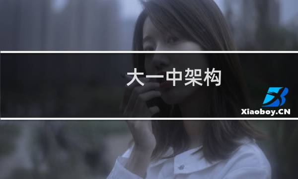 大一中架构