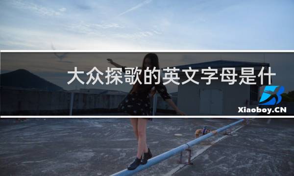 大众探歌的英文字母是什么图片