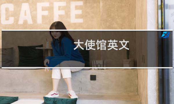 大使馆英文图片