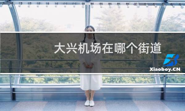 大兴机场在哪个街道