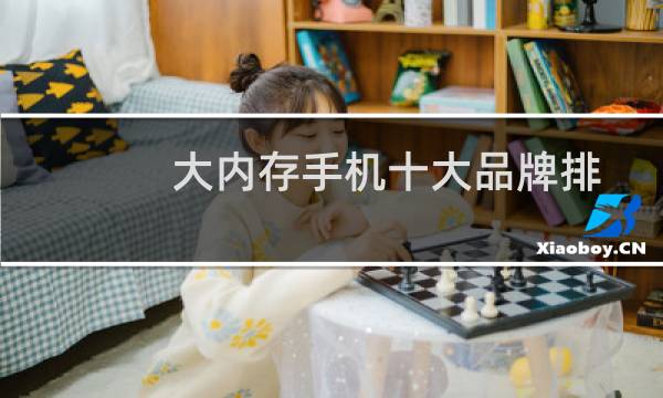 大内存手机十大品牌排行榜