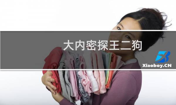 大内密探王二狗