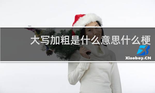 大写加粗是什么意思什么梗