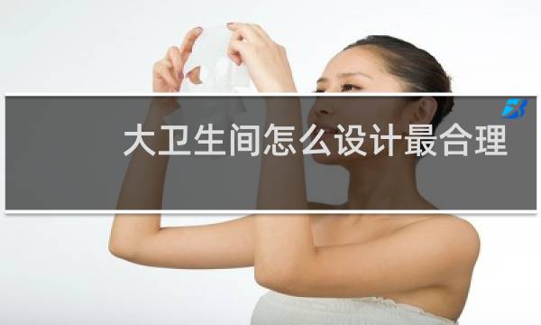 大卫生间怎么设计最合理图片