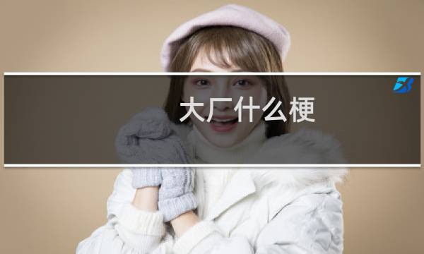大厂什么梗