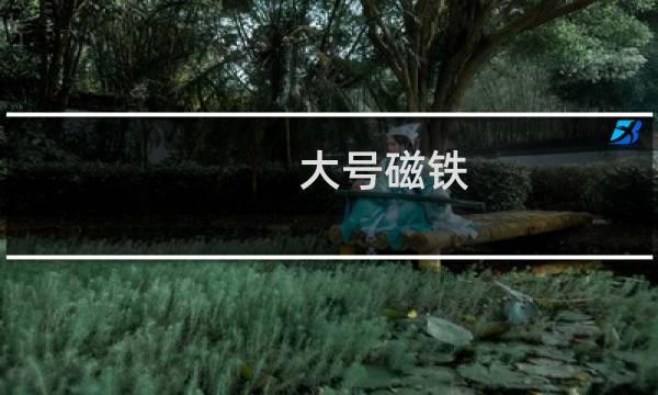 大号磁铁