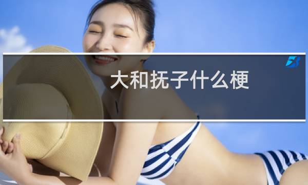 大和抚子什么梗