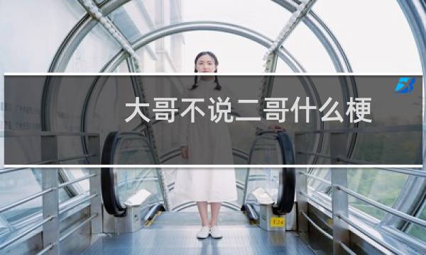 大哥不说二哥什么梗