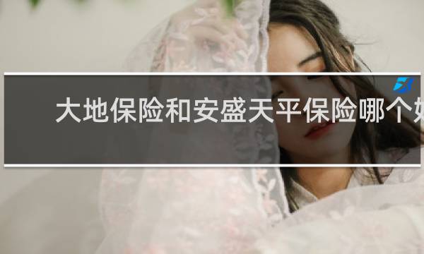 大地保险和安盛天平保险哪个好图片