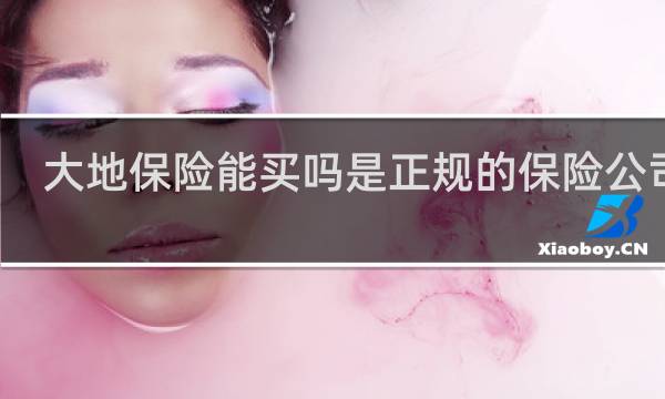 大地保险能买吗是正规的保险公司吗