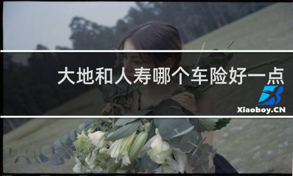 大地和人寿哪个车险好一点