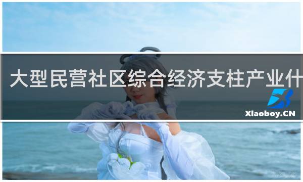 大型民营社区综合经济支柱产业什么梗