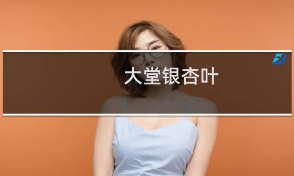 大堂银杏叶