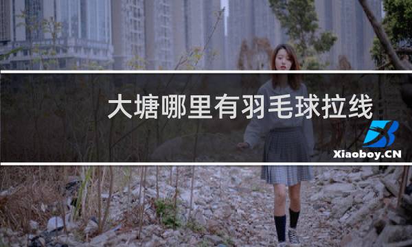 大塘哪里有羽毛球拉线