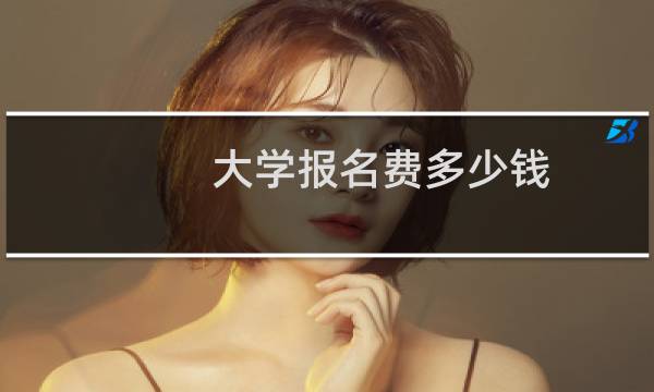 大学报名费多少钱