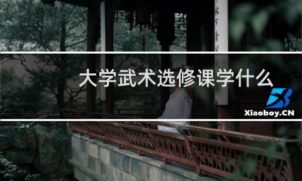 大学武术选修课学什么
