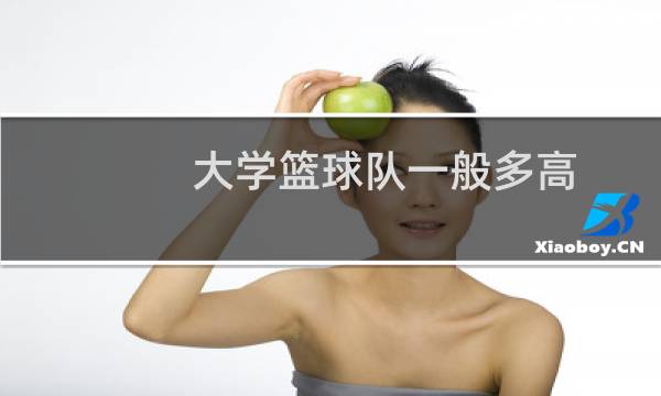 大学篮球队一般多高