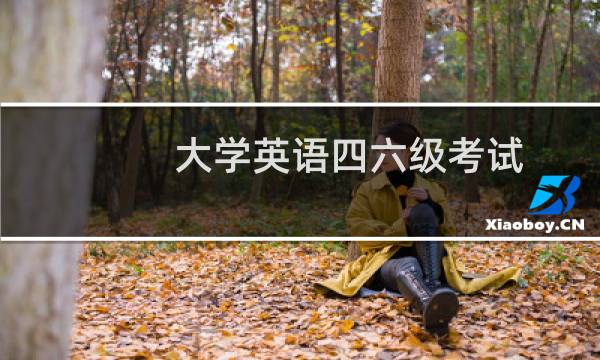 大学英语四六级考试