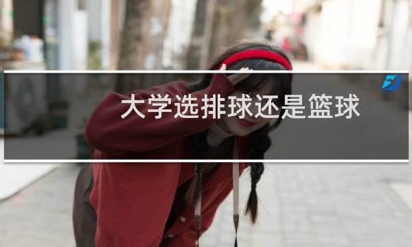 大学选排球还是篮球