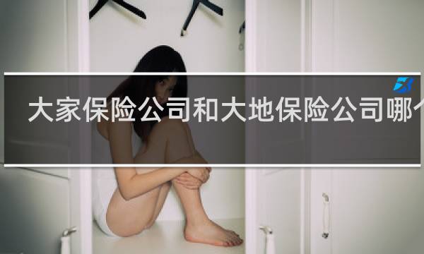 大家保险公司和大地保险公司哪个好图片
