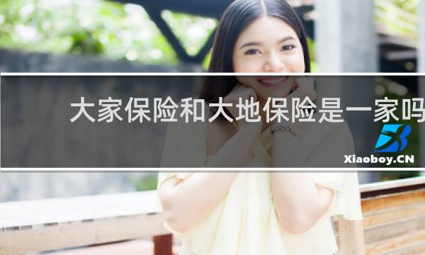 大家保险和大地保险是一家吗图片