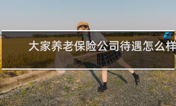 大家养老保险公司待遇怎么样图片