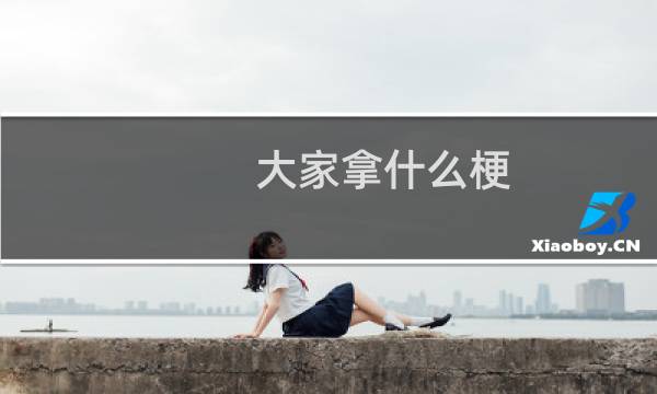 大家拿什么梗