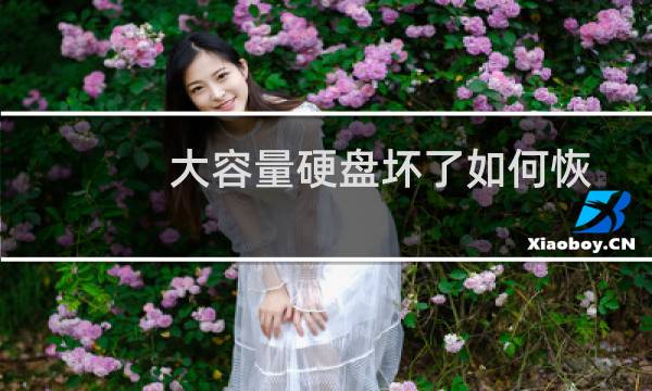 大容量硬盘坏了如何恢复数据