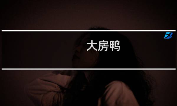 大房鸭图片